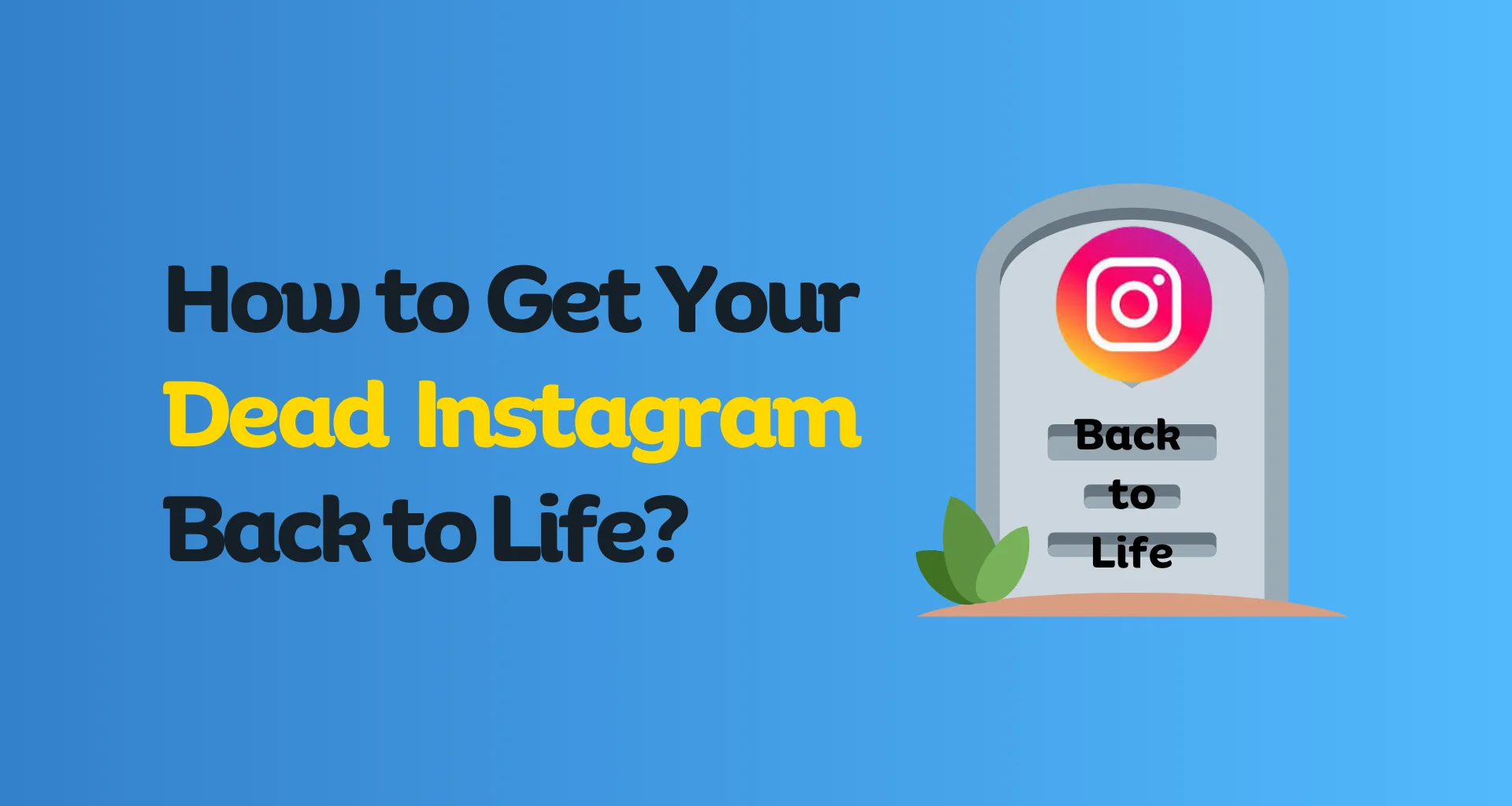 How to Get Your Dead Instagram Back to Life